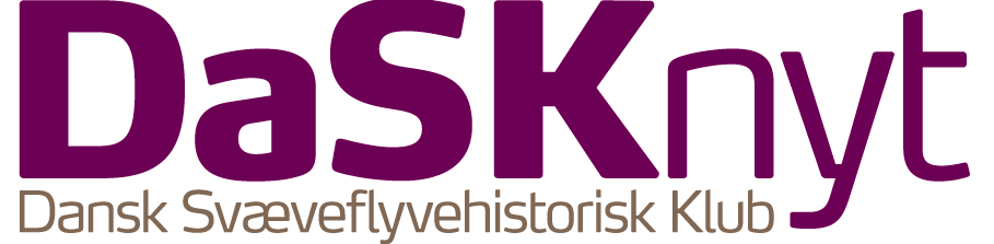 DaSKnyt logo web